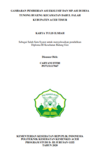 Image of GAMBARAN PEMBERIAN ASI EKSLUSIF DAN MP-ASI DI DESA TUNONG BUGENG KECAMATAN DARUL FALAH KUBUPATEN ACEH TIMUR