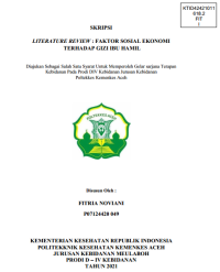 Image of LITERATURE REVIEW : FAKTOR SOSIAL EKONOMI TERHADAP GIZI IBU HAMIL