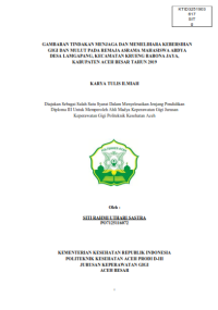 Image of GAMBARAN TINDAKAN MENJAGA DAN MEMELIHARA KEBERSIHAN GIGI DAN MULUT PADA REMAJA ASRAMA MAHASISWA ABDYA DESA LAMGAPANG, KECAMATAN KRUENG BARONA JAYA,  KABUPATEN ACEH BESAR TAHUN 2019