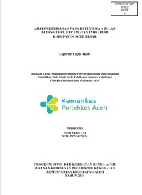 Image of ASUHAN KEBIDANAN PADA BAYI Y USIA 6 BULAN DI DESA LHEU KECAMATAN INDRAPURI KABUPATEN ACEH BESAR