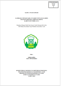 Image of GAMBARAN PENGETAHUAN PASIEN TENTANG KARIES GIGI DI PUSKESMAS TRIENGGADENG KABUPATEN PIDIE JAYA