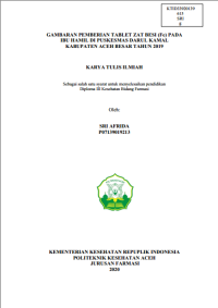 Image of GAMBARAN PEMBERIAN TABLET ZAT BESI (Fe) PADA IBU HAMIL DI PUSKESMAS DARUL KAMAL KABUPATEN ACEH BESAR TAHUN 2019
