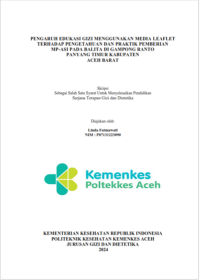 Image of PENGARUH EDUKASI GIZI MENGGUNAKAN MEDIA LEAFLET TERHADAP PENGETAHUAN DAN PRAKTIK PEMBERIAN MP-ASI PADA BALITA DI GAMPONG RANTO PANYANG TIMUR KABUPATEN ACEH BARAT