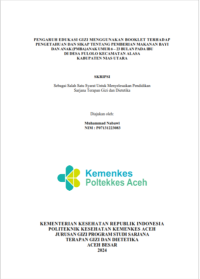 Image of PENGARUH EDUKASI GIZI MENGGUNAKAN BOOKLET TERHADAP PENGETAHUAN DAN SIKAP TENTANG PEMBERIAN MAKANAN BAYI DAN ANAK (PMBA)ANAK UMUR 6 – 23 BULAN PADA IBU DI DESA FULOLO KECAMATAN ALASA KABUPATEN NIAS UTARA