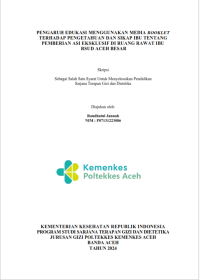 Image of PENGARUH EDUKASI MENGGUNAKAN MEDIA BOOKLET TERHADAP PENGETAHUAN DAN SIKAP IBU TENTANG PEMBERIAN ASI EKSKLUSIF DI RUANG RAWAT IBU RSUD ACEH BESAR