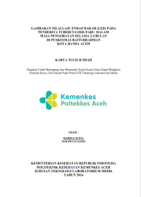Image of GAMBARAN NILAI LAJU ENDAP DARAH (LED) PADA PENDERITA TUBERCULOSIS PARU  DALAM  MASA PENGOBATAN SELAMA 2-4 BULAN  DI PUSKESMAS BAITURRAHMAN KOTA BANDA ACEH