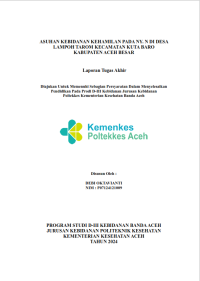 Image of ASUHAN KEBIDANAN KEHAMILAN PADA NY. N DI DESA LAMPOH TAROM KECAMATAN KUTA BARO KABUPATEN ACEH BESAR
