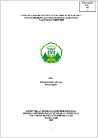 Image of USAHA PENCEGAHAN INFEKSI NOSOKOMIAL DI RUMAH SAKIT UMUM DAERAH SULTAN ISKANDAR MUDA KABUPATEN NAGAN RAYA TAHUN 2019
