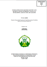 Image of STUDI LITERATUR FAKTOR-FAKTOR YANG MEMPENGARUHI PEMBERIAN MAKANAN PENDAMPING AIR SUSU IBU (MP-ASI) DINI