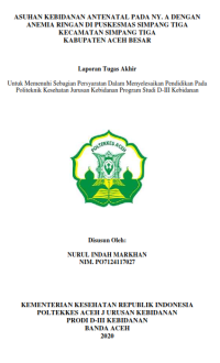 Image of ASUHAN KEBIDANAN ANTENATAL PADA NY. A DENGAN ANEMIA RINGAN DIII PUSKESMAS SIMPANG TIGA KECAMATAN SIMPANG TIGA KABUPATEN ACEH BESAR