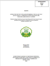 Image of LITERATURE REVIEW: PENGARUH PEMBERIAN UBI JALAR UNGU (Ipomoea Batatas L) TERHADAP KADAR Haemoglobin (Hb) PADA IBU HAMIL DENGAN ANEMIA