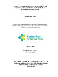 Image of ASUHAN KEBIDANAN PADA BAYI S USIA 4 BULAN DI DESA LAMBARO KECAMATAN INGIN JAYA KABUPATEN ACEH BESAR